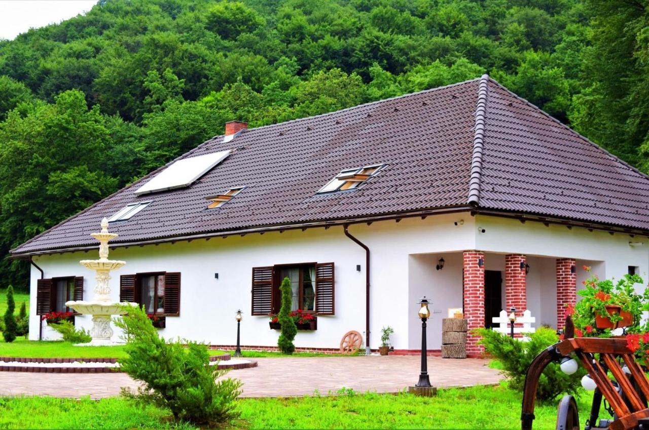 Hotel Domeniul Poiana Ursului Dumbraveni  Exterior foto